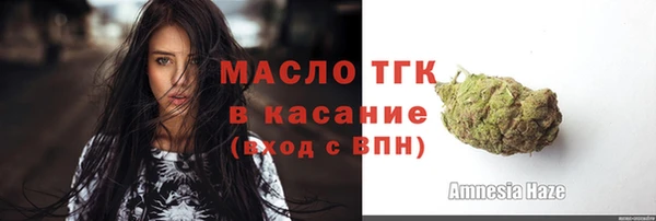молекула духа Богородск