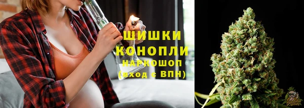 молекула духа Богородск