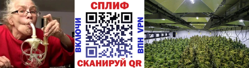 МАРИХУАНА Ganja Геленджик